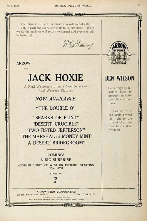 The Marshal of Moneymint Poster