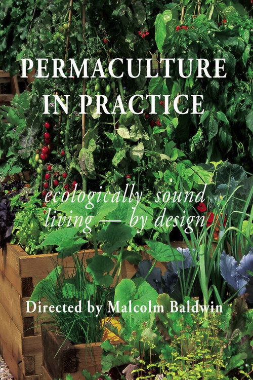 Permaculture in Practice Poster