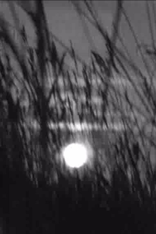 Bugey pour mémoire Poster