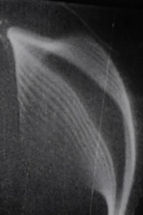 Études des solides illusoires Poster