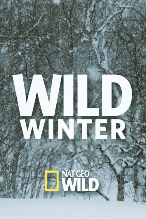 Wild Winter Poster