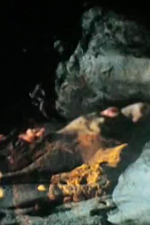 Un Troupeau Se Perd Dans La Forêt Rouge Poster