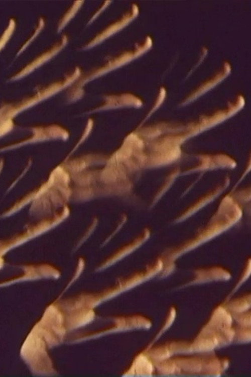 Ballett-Film Poster