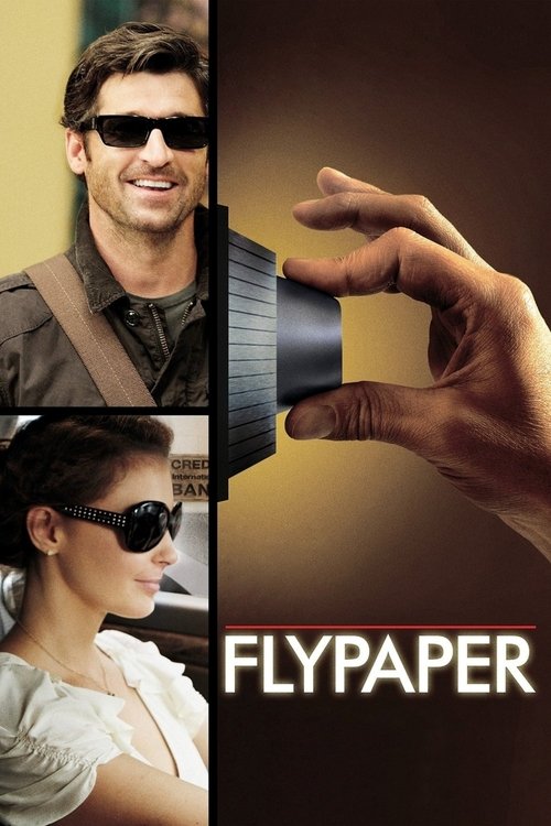 Flypaper Poster
