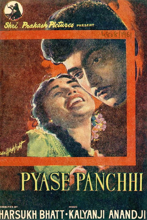Pyase Panchhi Poster