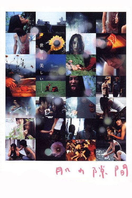 A Gap in the Skin Poster