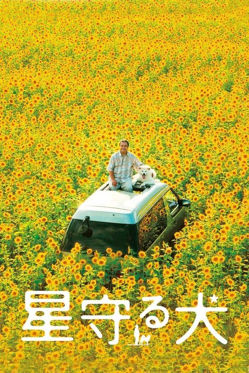 Star Watching Dog Poster