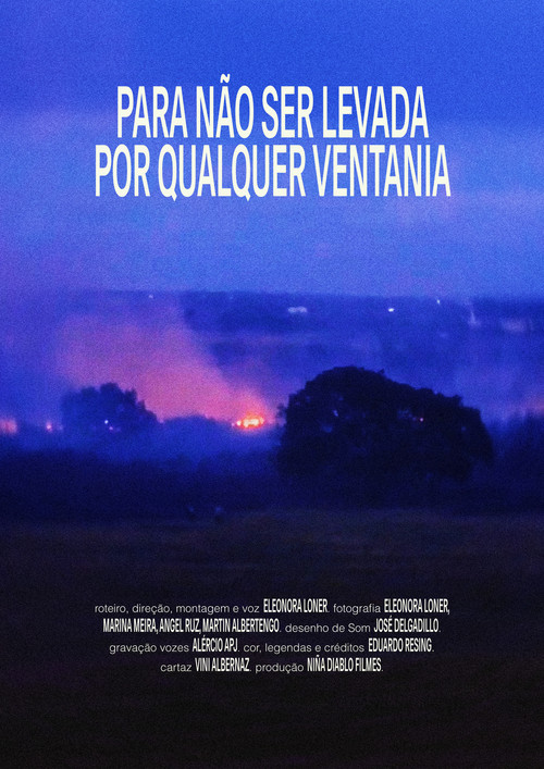 Para não ser levada por qualquer ventania Poster