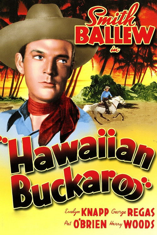 Hawaiian Buckaroo Poster
