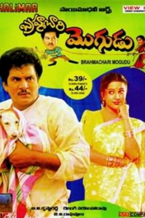Brahmachari Mogudu Poster