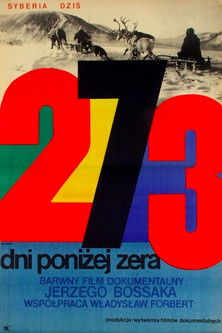 273 Days Below Zero Poster
