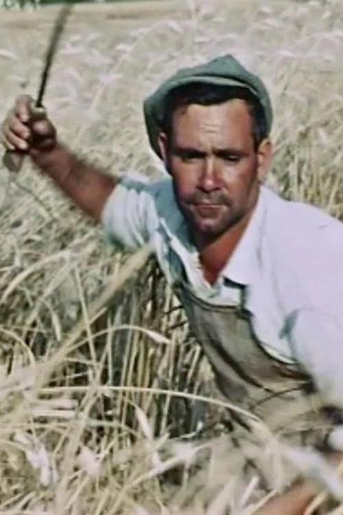 The Wheat Passion Poster