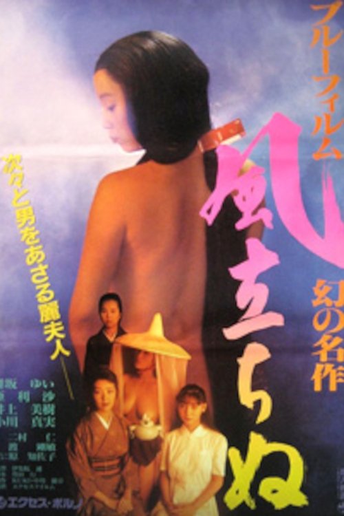 Blue Film Masterpiece: The Wind Rises Poster