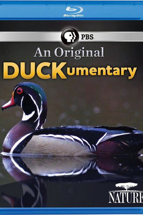 PBS Nature - An Original DUCKumentary Poster