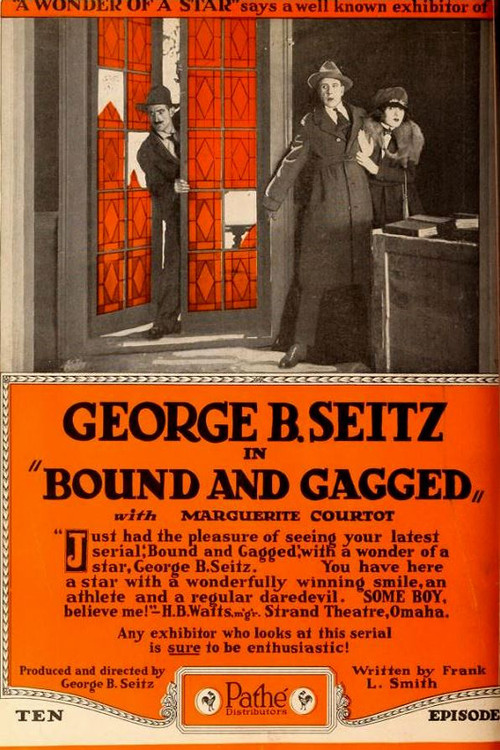 Bound and Gagged Poster