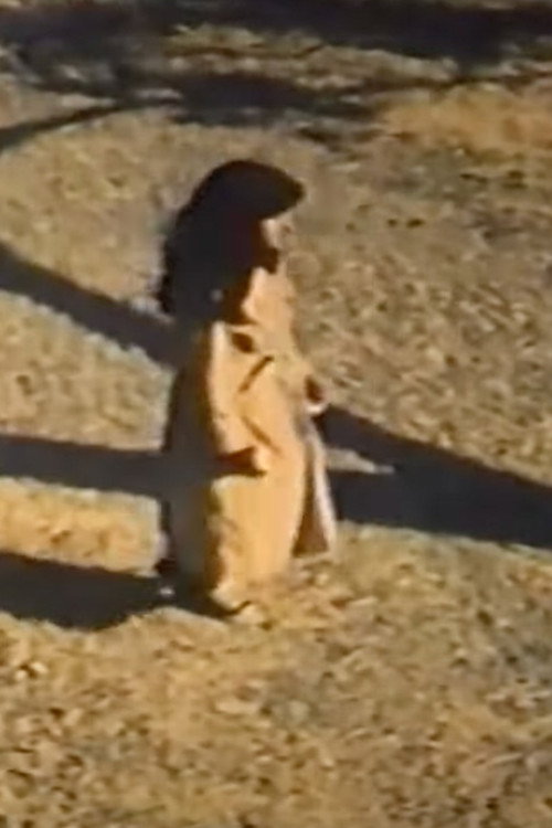 The Lonely Star Poster