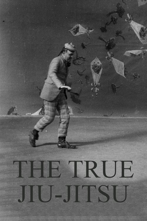 Dranem Performs The True Jiu-Jitsu Poster