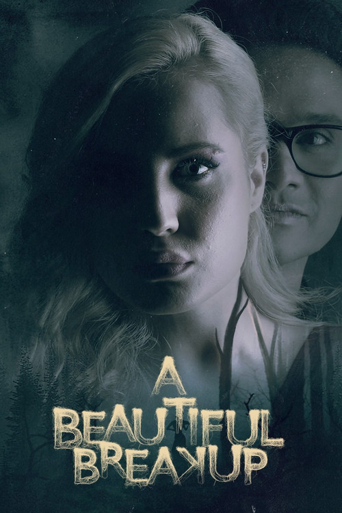 A Beautiful Breakup Poster