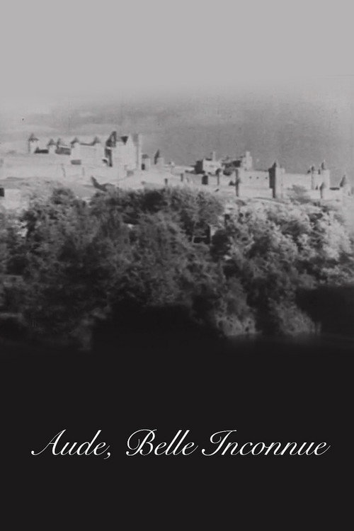 Aude, belle inconnue Poster