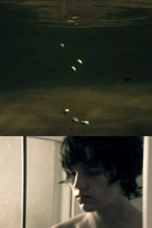 Postmortem Bliss Poster