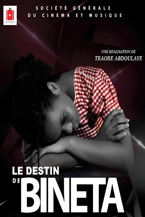 The Fate of Bineta Poster