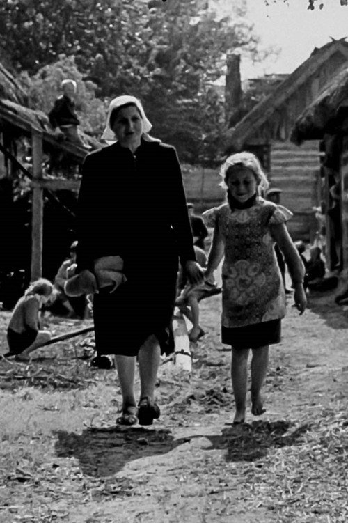 Where Is Our Home? Poster