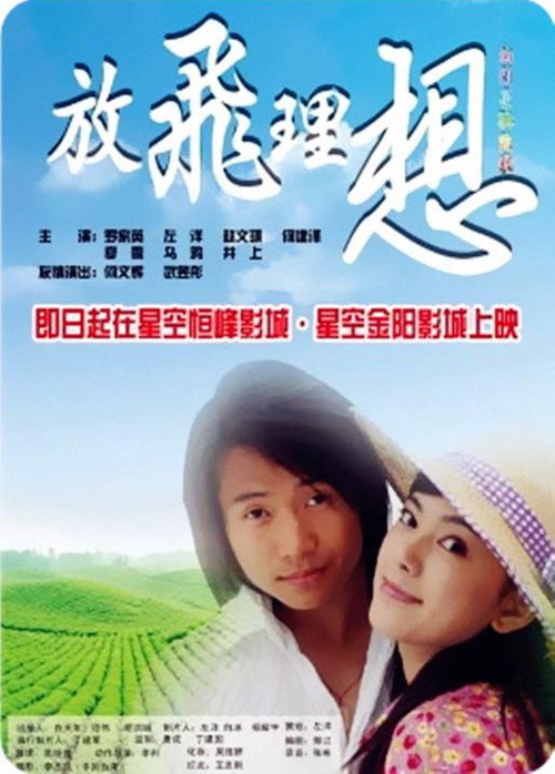 放飞理想 Poster