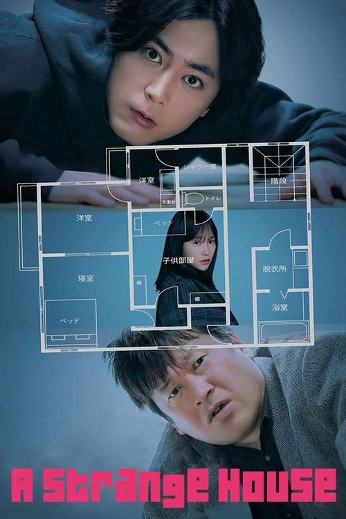 A Strange House Poster