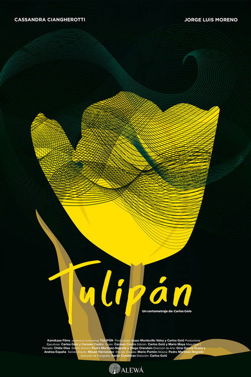 Tulip Poster