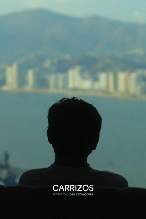 Carrizos Poster