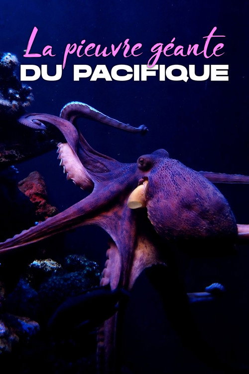 Rendezvous mit Riesenkraken - Die Geschichte von Ellie Poster