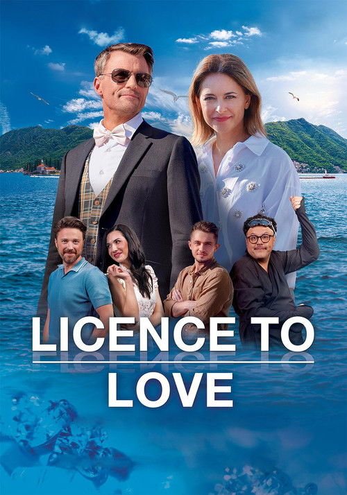 Licence to Love Poster
