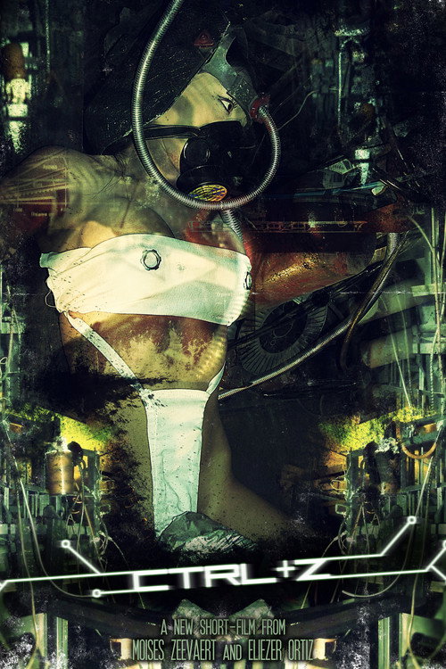 CTRL + Z Poster
