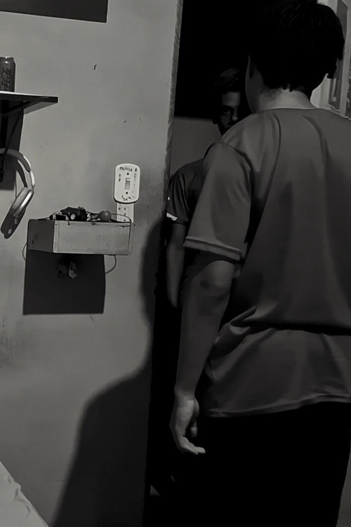 O Hóspede indesejado Poster