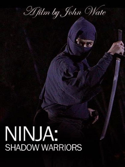 Ninja Shadow Warriors Poster