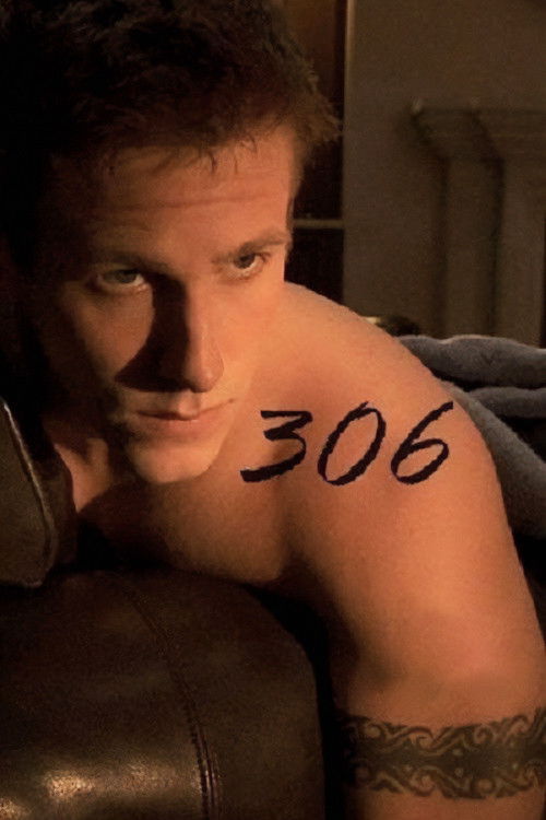 306 Poster
