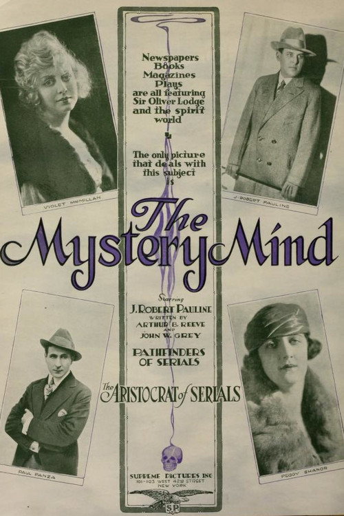 The Mystery Mind Poster