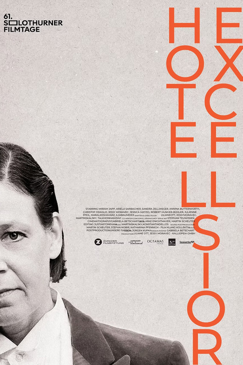 Hotel Excelsior Poster