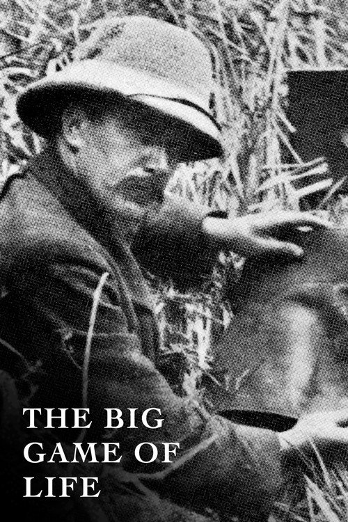 The Big Game of Life Poster