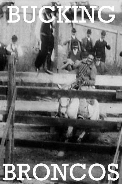 Bucking Broncos Poster