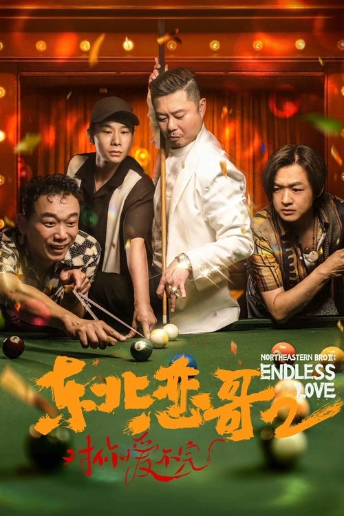 The Northeastern Bro 2: Endless Love Poster