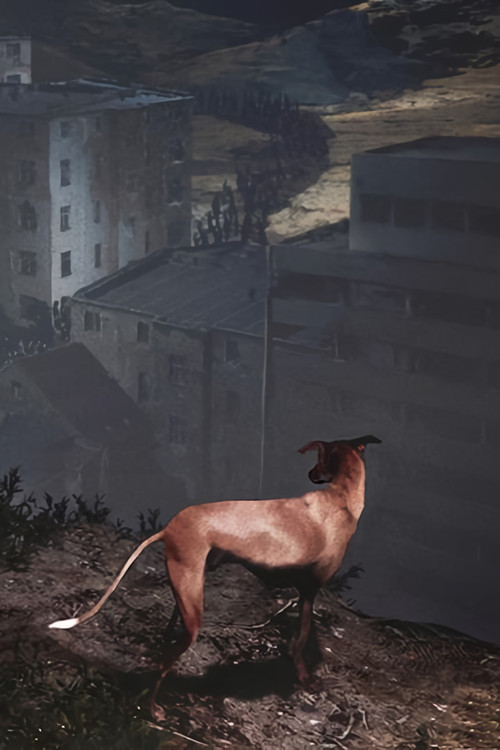 Songs for a Passerby Poster