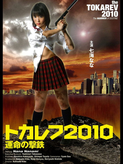 Tokarev 2010: The Hammer of Destiny Poster