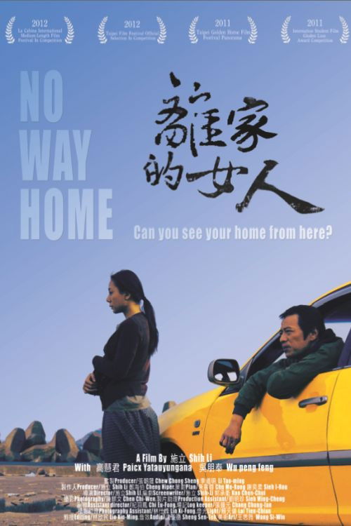 No Way Home Poster