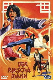My Kung Fu 12 Kicks Poster