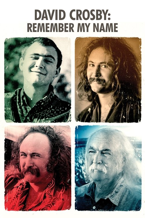 David Crosby: Remember My Name Poster