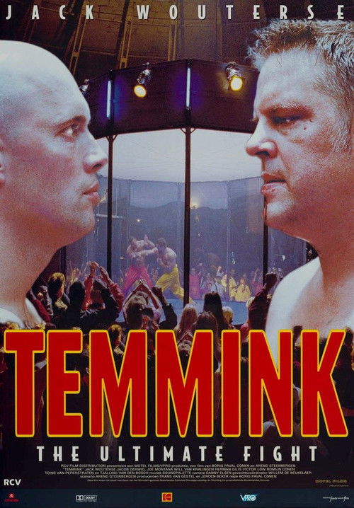 Temmink: The Ultimate Fight Poster