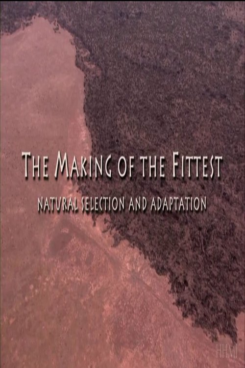 The Making of the Fittest: Natural Selection and Adaptation Poster
