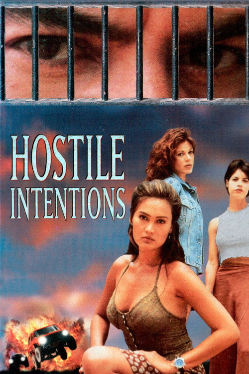 Hostile Intentions Poster
