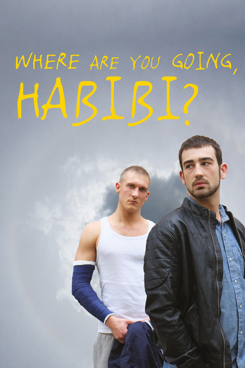 Where Are You Going, Habibi? Poster